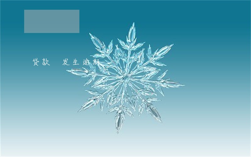 贷款 发生逾期 贷款 发生逾期